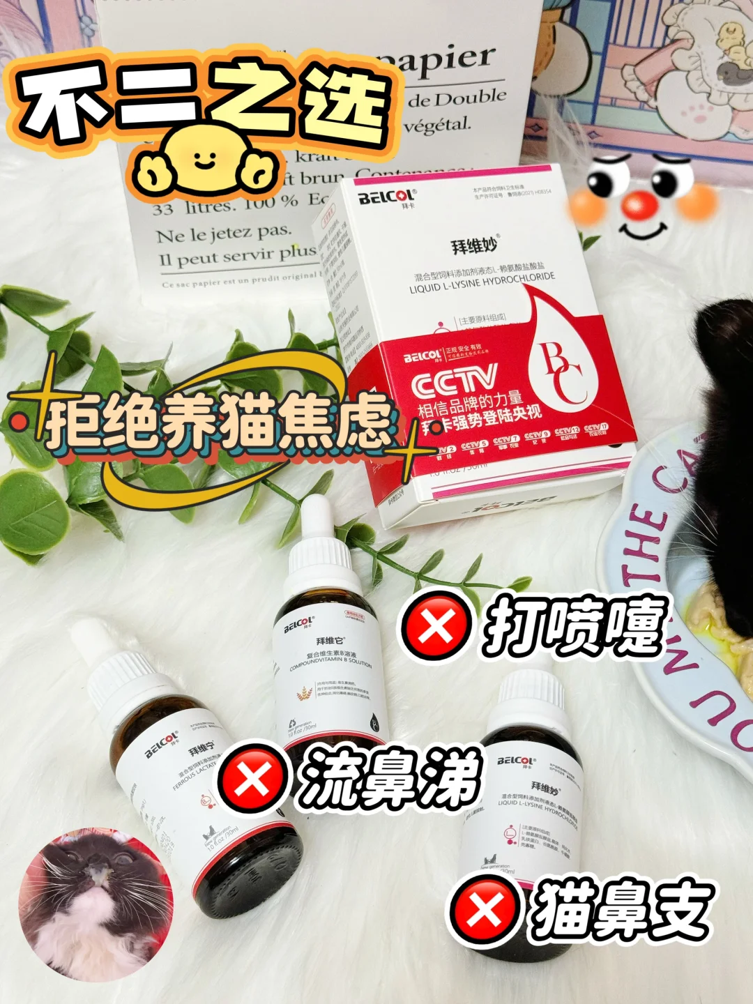 对病怏怏毛孩儿say NO！！！