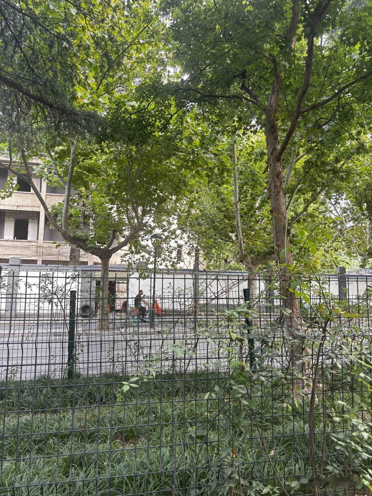 西安含光路这楼，窗户玻璃没有了，这是要改造装修还是拆迁？这是什么单位的楼，临街，