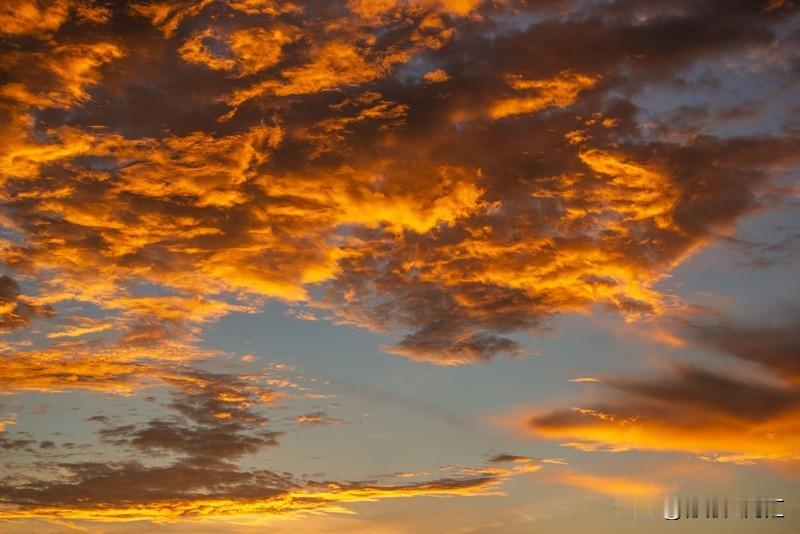 火烧云的美丽景象真的太让人陶醉！12月17日傍晚，广州上空先是出现鱼鳞云，随着夕