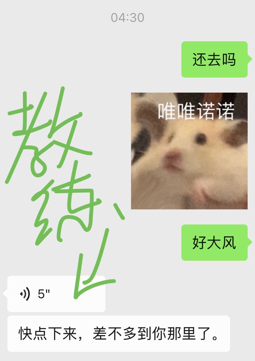 台风天也要凌晨四点起床练习科目三。