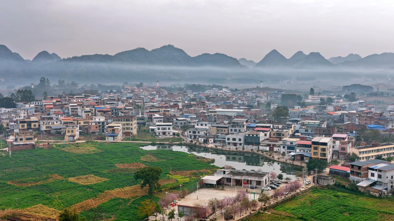 春风拂过来宾小平阳镇和平村大户屯，漫野花开、草木焕新，把桂中乡村酿成温柔诗篇。青