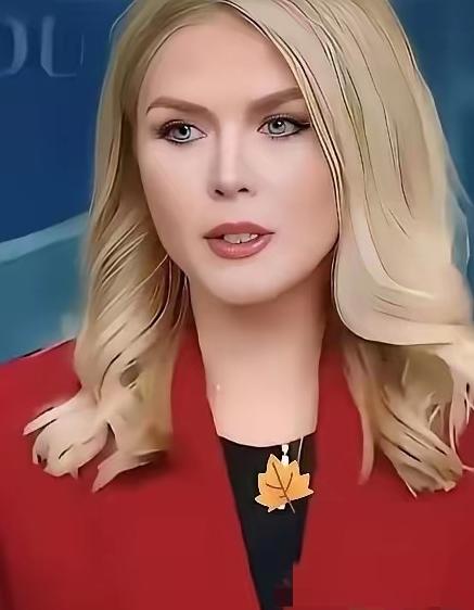 美国白宫宣布

2026年3月31日，美国白宫新闻秘书莱维特宣布了一个重要消息，