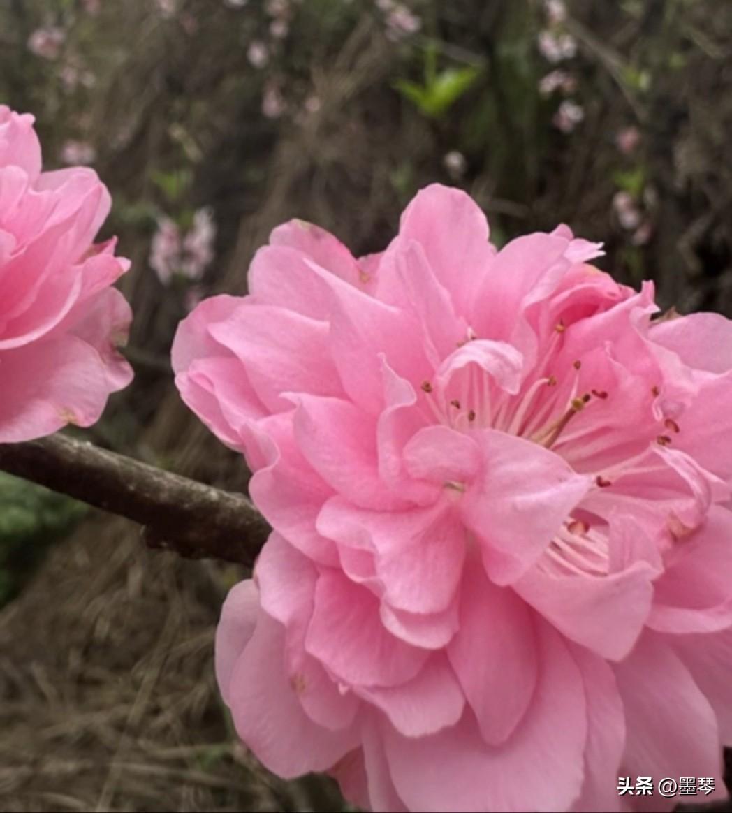 你们年轻的时候最喜欢的事是什么？


刚在头条巡游的时候，看到一个条友谈到钢琴，