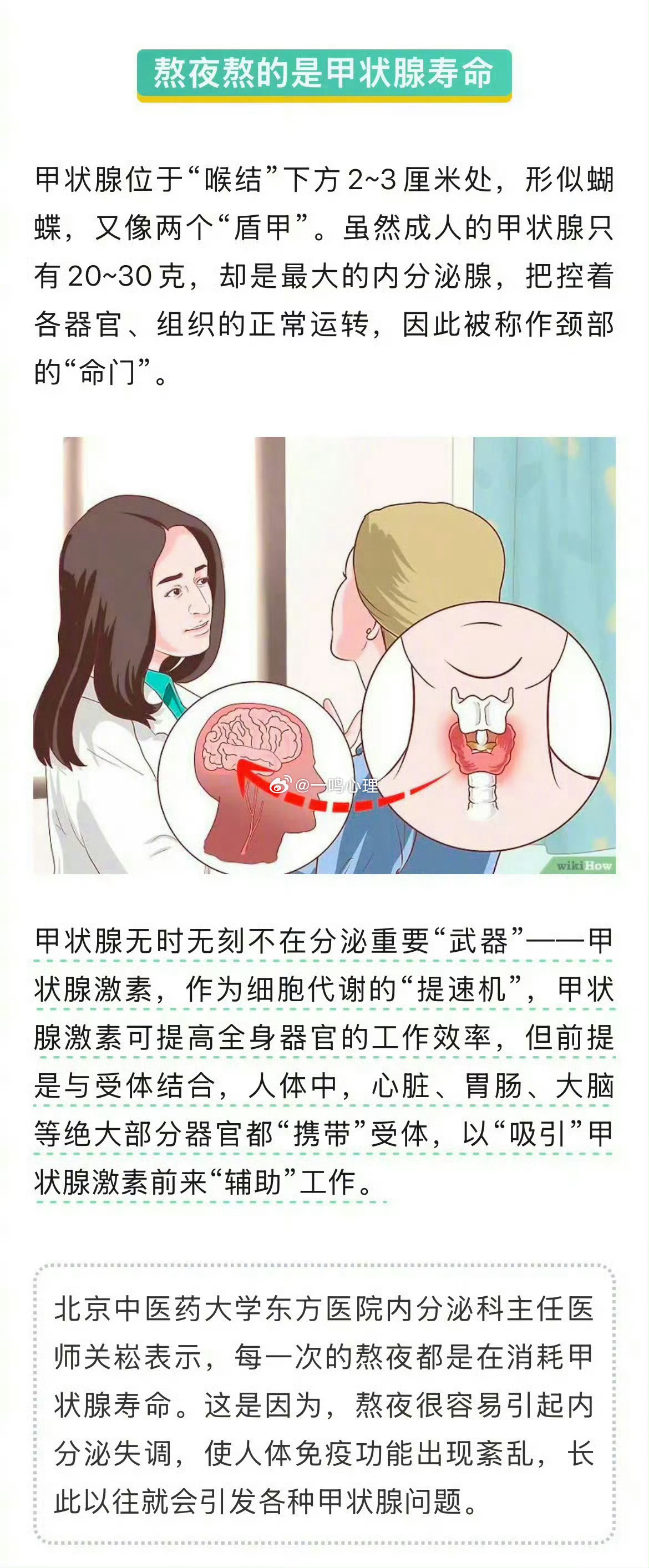 熬夜其实是在熬甲状腺的寿命熬夜很容易引起内分泌失调 每一次的熬夜都是在消耗甲状腺