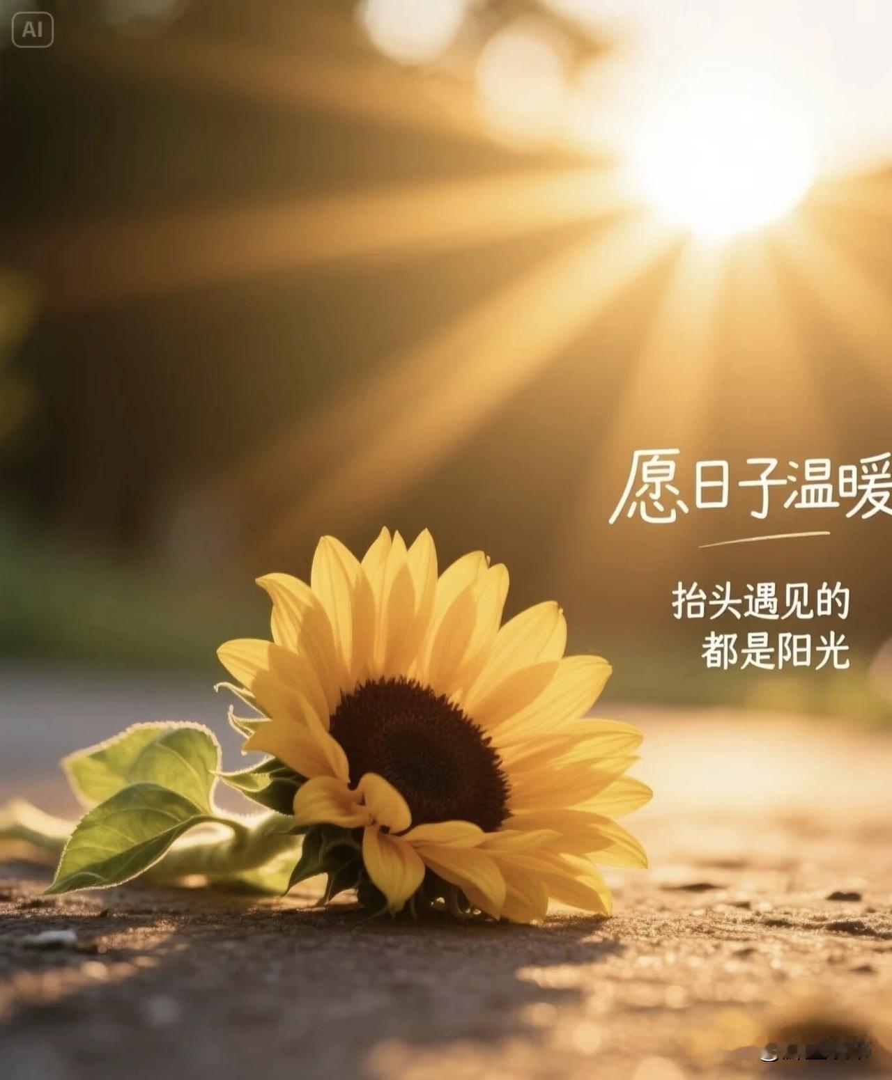 接受普通，再拼尽全力与众不同
 
同事儿子今年三十岁，没房没车，拿着不上不下的工