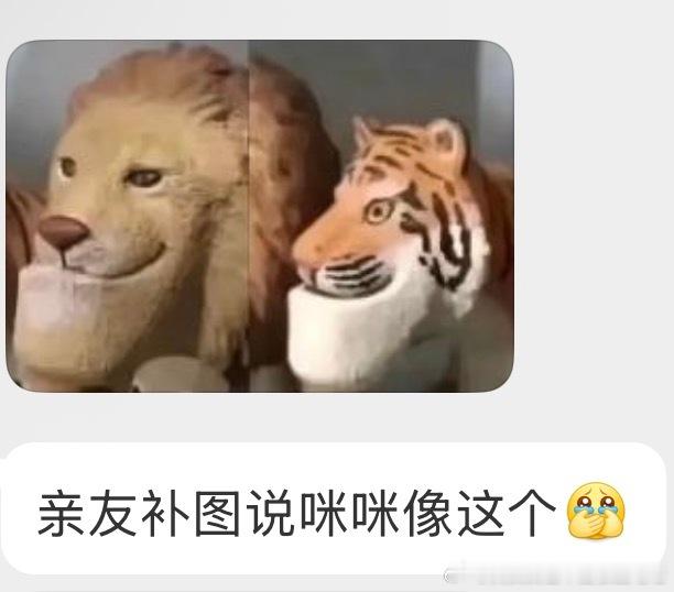 50141【丑猫】这啥 