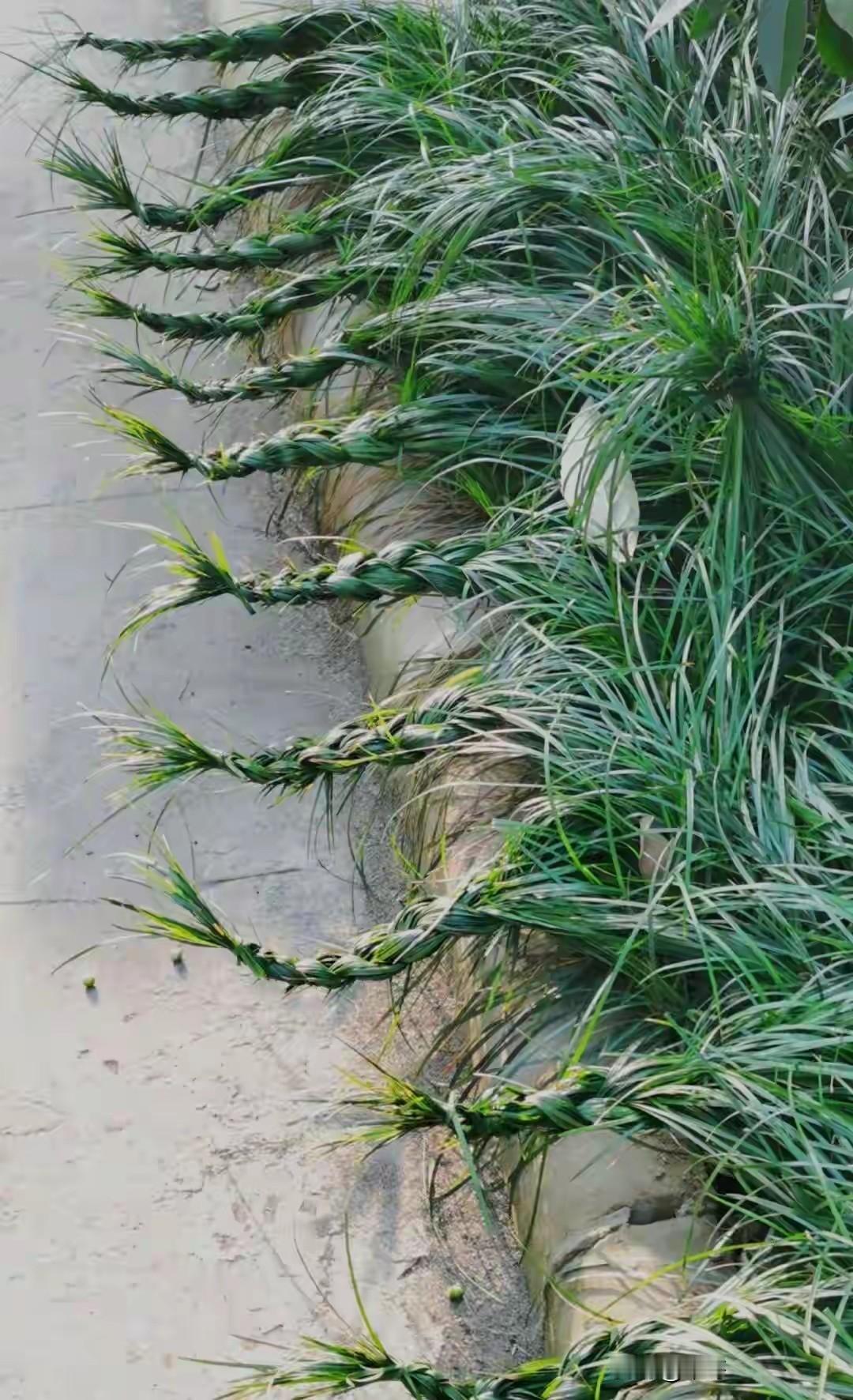 翻译功能差一点，输入界面小了一点，岁数大了看不清！上午安的，刚才又换讯飞了，AI