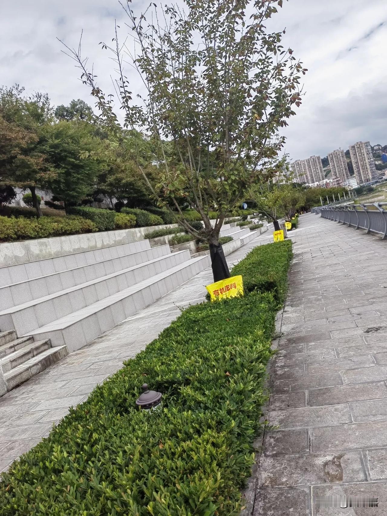嫉妒、摧毁、撕烂人性的典型做法，卑鄙而又张狂，自以为找到了摧毁的门道，以为社会会