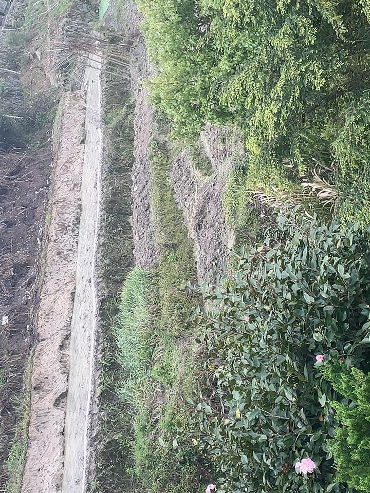 春日生活打卡季春到了，在农村每天早上起床都能听到青蛙叫声，就像一首歌曲