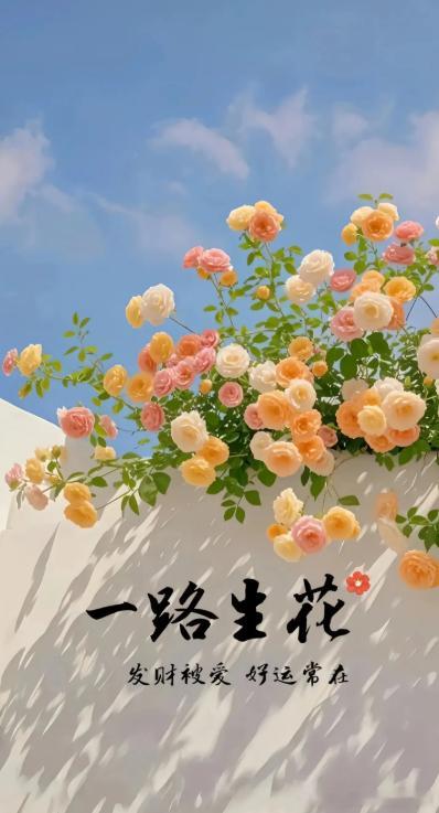 每日一善阳光信用  每个人都有自己的活法，感情和时光一样，回不去。不论当时，是谁