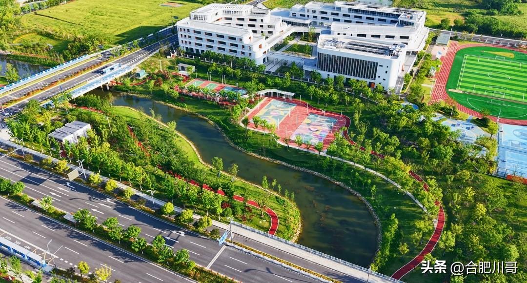 正式投用！新站又一重点生态项目完工

新站高新区龚湾河一期工程正式完工，标志着区