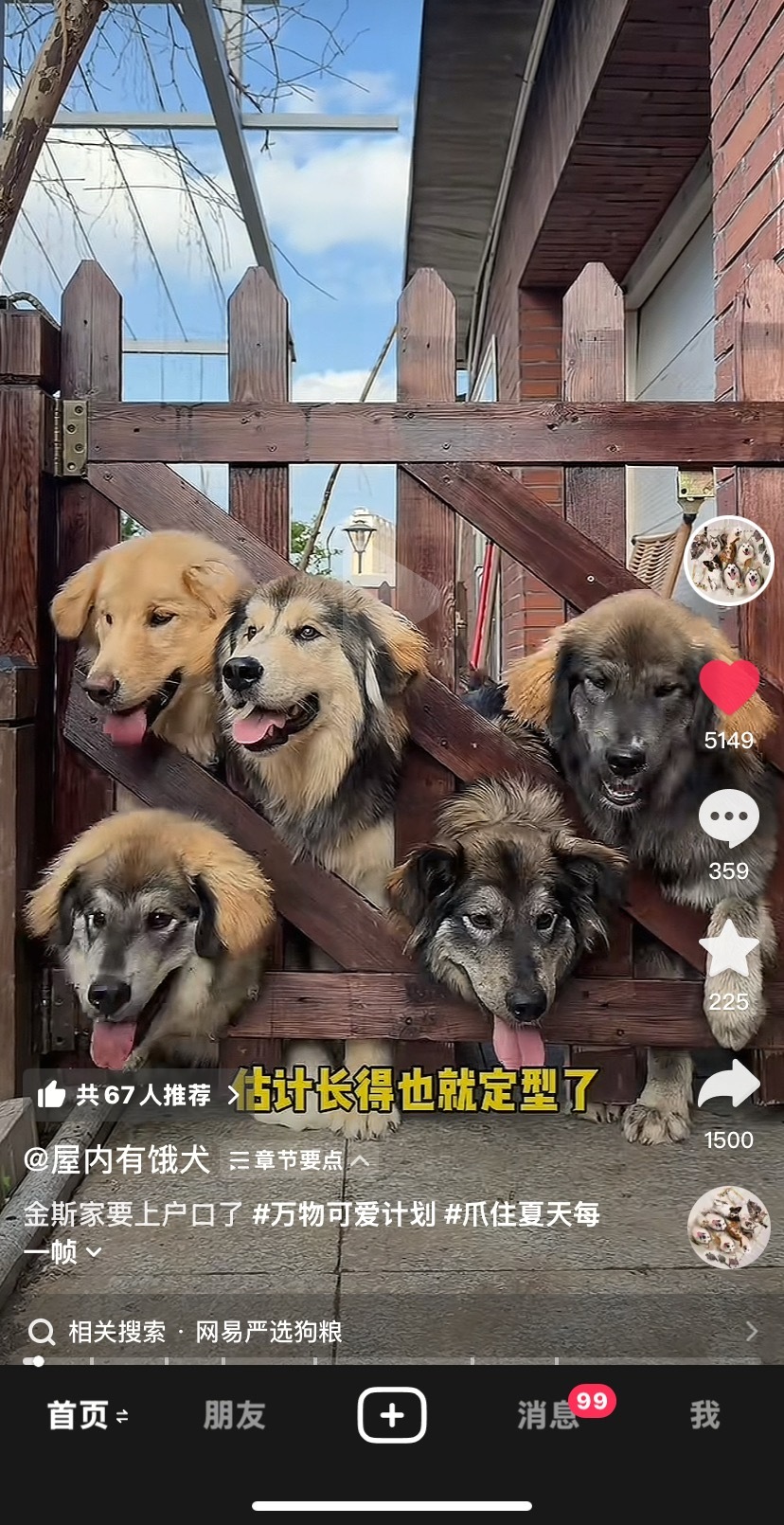 怎么长这么磕碜呢 