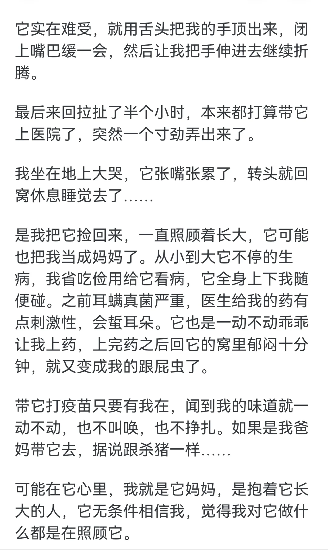 宠物知道你是在照顾它吗？