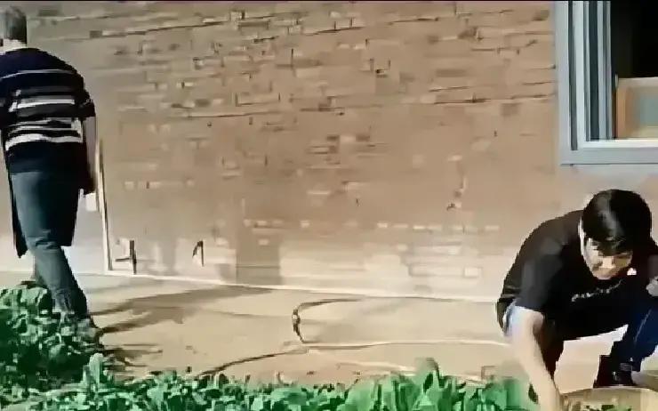 零下十几度，宋小宝没通告没助理，自己打车回铁岭。
 
一头扎进师父赵本山的大棚，