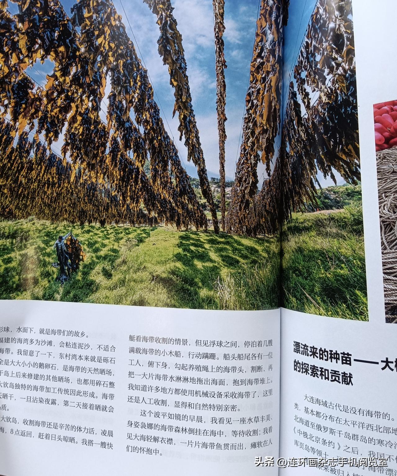 杂志拍页〔中国国家地理〕04
