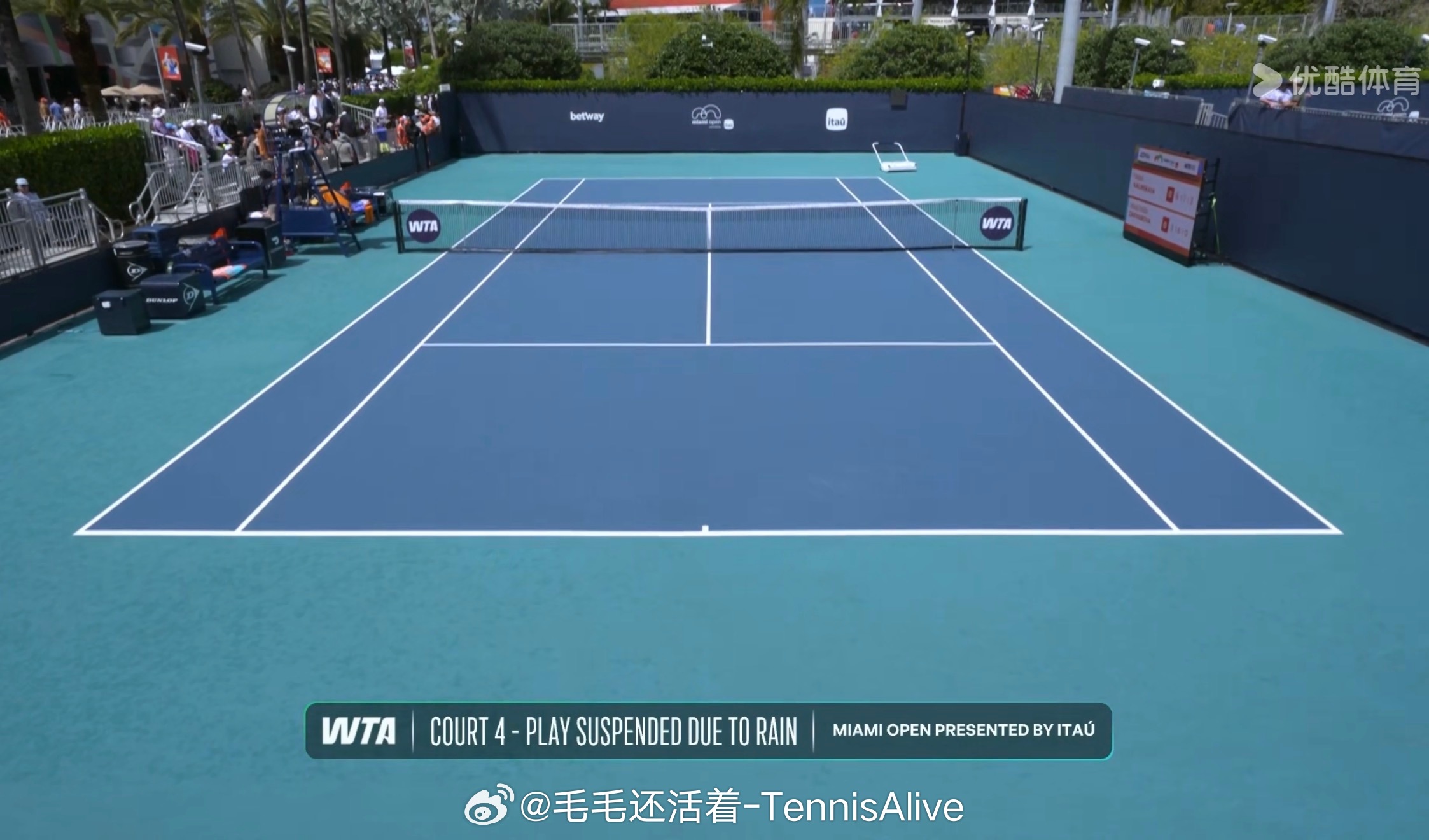 又因雨暂停了额。 