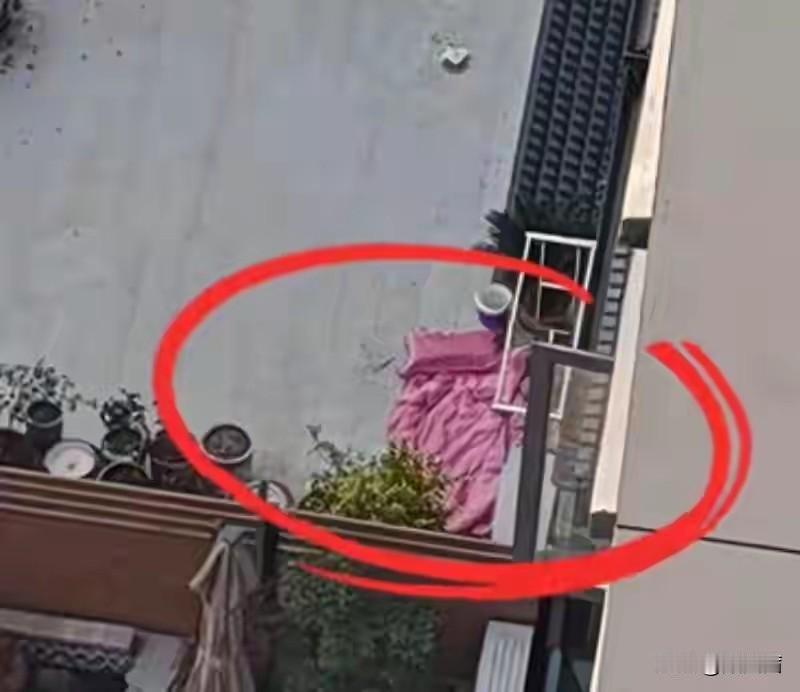 “婚姻是港湾，不是牢笼”，可河南鲁山28岁女教师魏亚蕊的婚礼，却成了生命的终点。