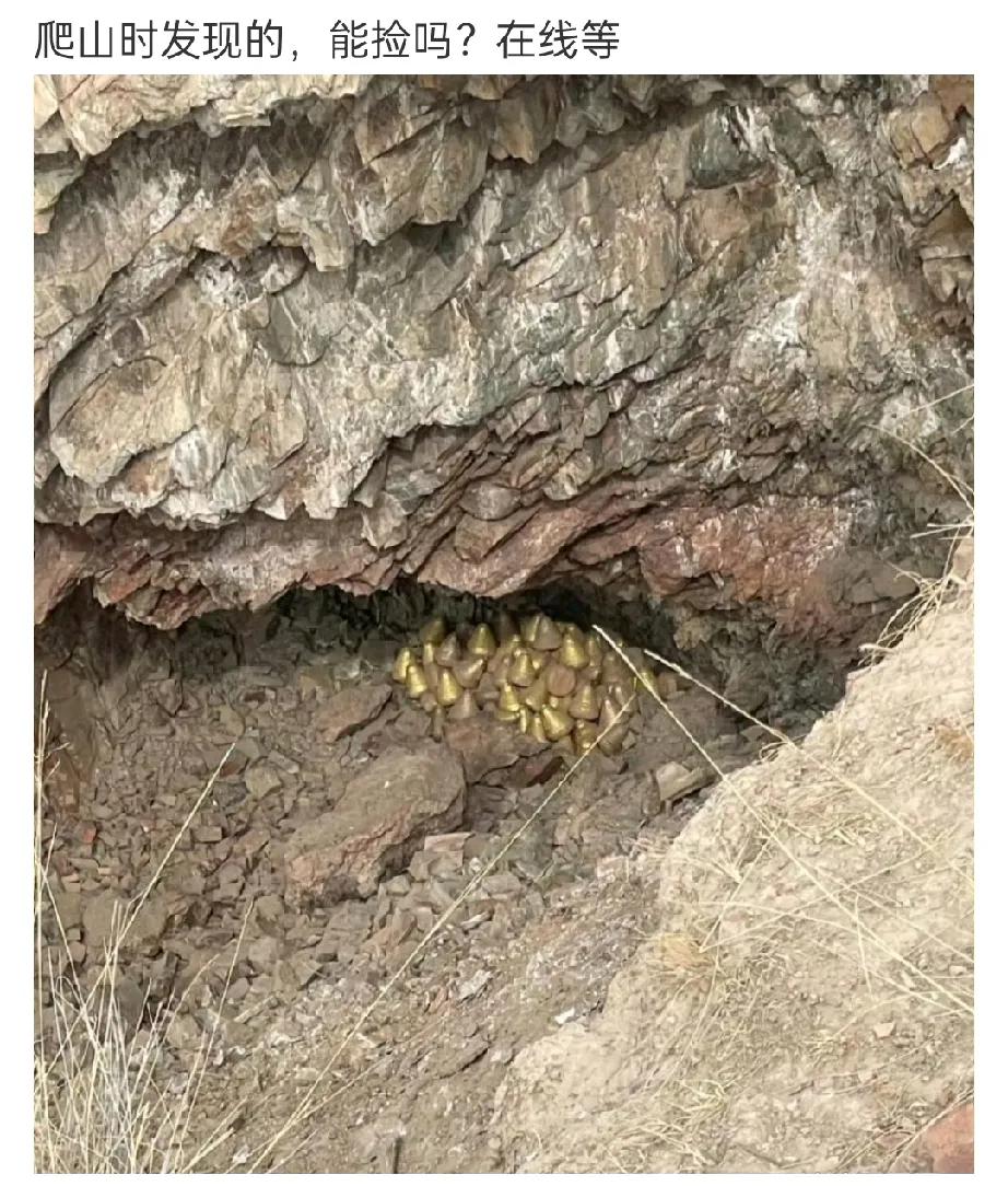 刷到一博主爬山时遇到的东西……在崖边像是被雨水冲的漏出地面的。脑袋里直接遐想:难