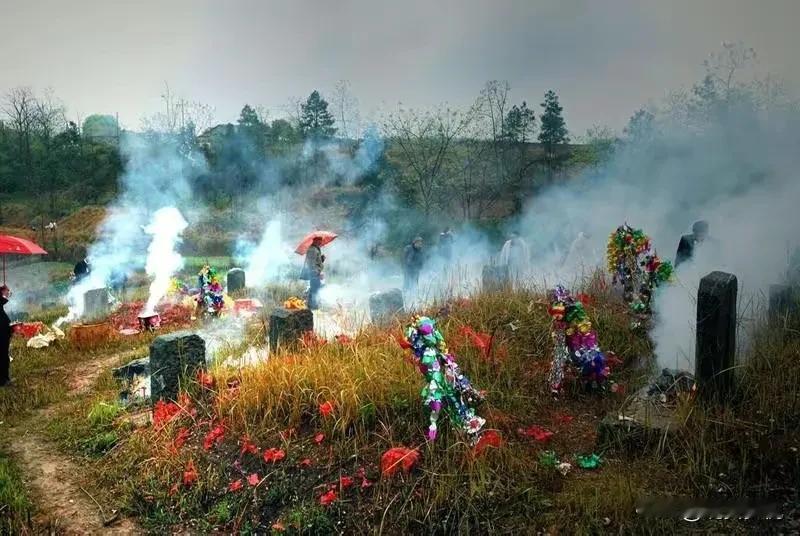 今天是清明节，回到老家本想着和公公婆婆一起去上坟，没想到婆婆说坟两天前就已经上好