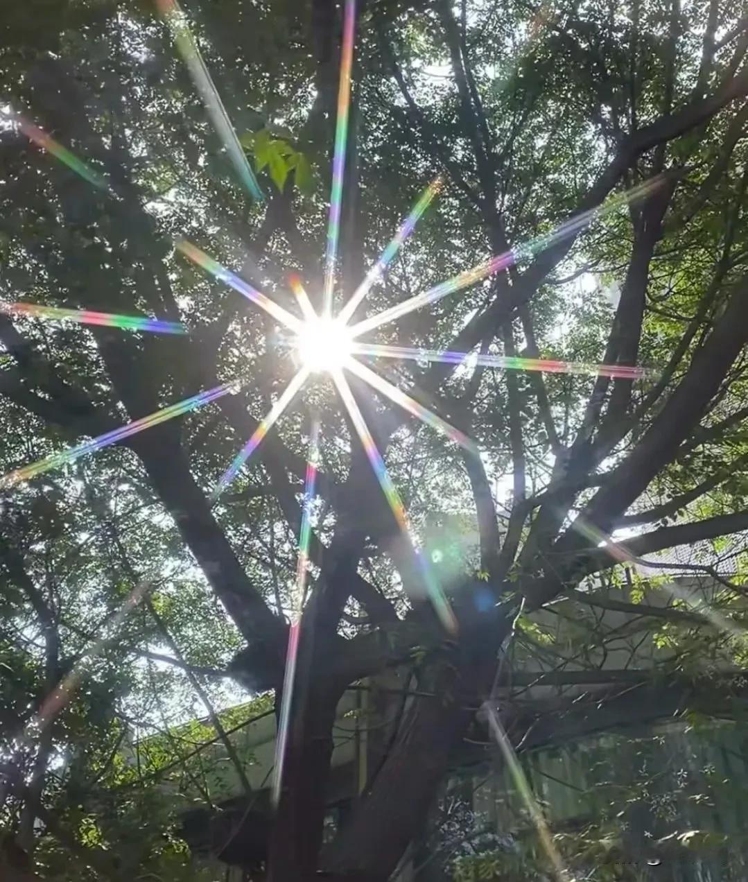 立夏，是二十四节气中的第7个节气，夏季的第一个节气，表示盛夏时节的正式开始。斗指
