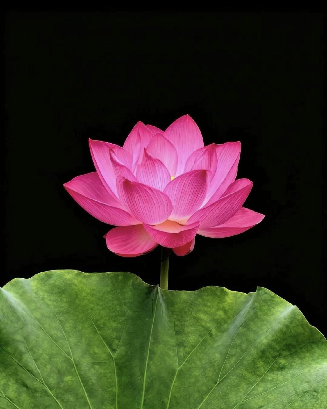 常见容易读错的字词：
1、弄堂（lòng táng）
2、佞臣（nìng ché