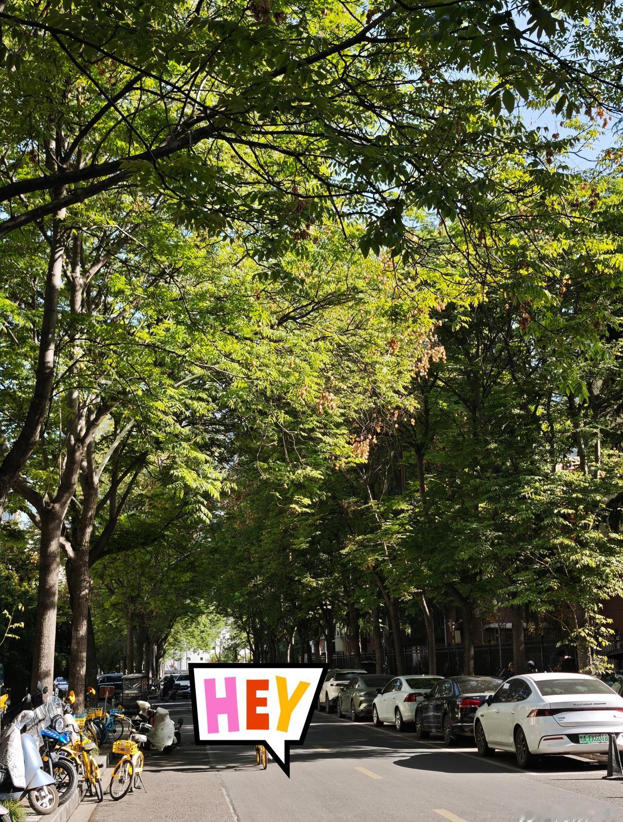 近日的明媚春光～
今年春天真舒服，天气晴朗没有沙尘暴，不冷不热刚刚好
好想一年四