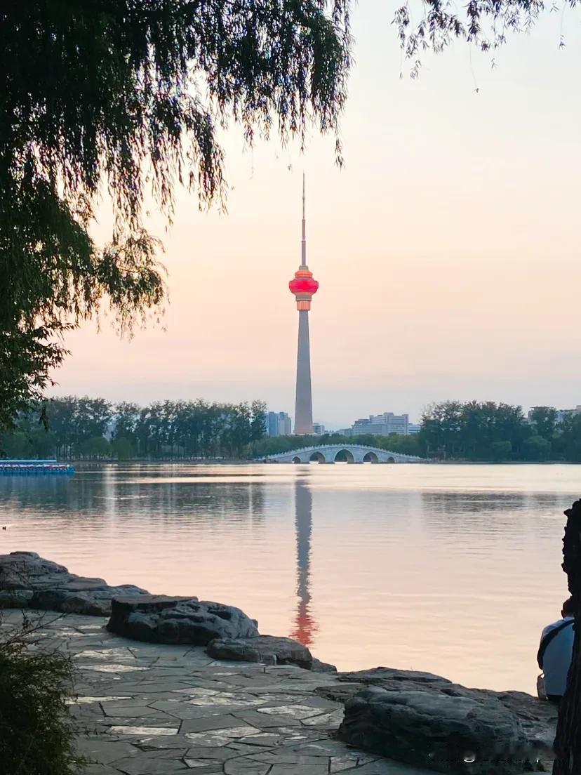 太不可思议了！65岁居然还算青年人！

今年早些时候，联合国世界卫生组织正式发布