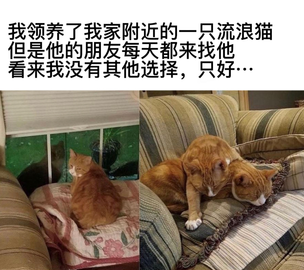 招安#今日memes##趣过夏天# ​​​
