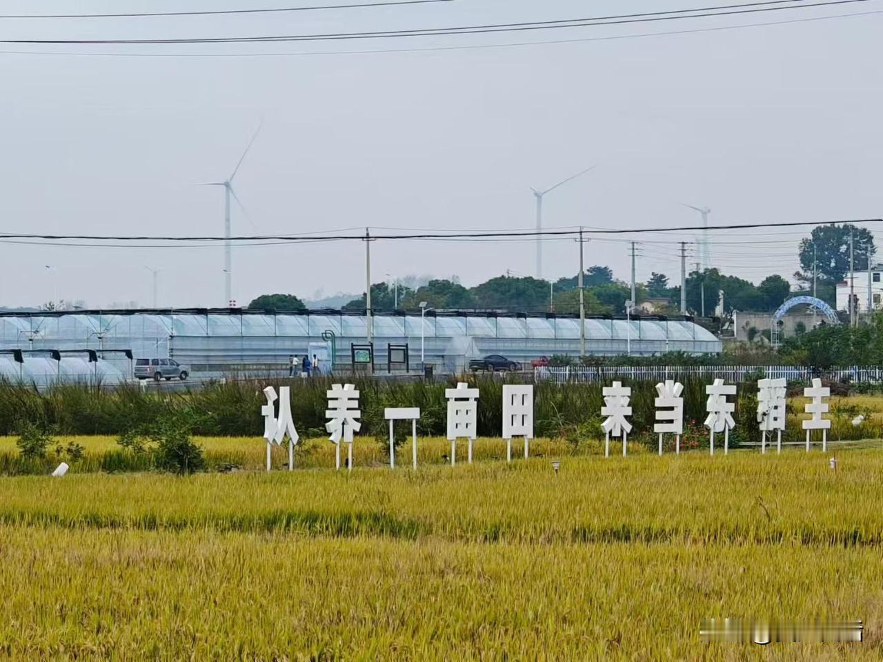 打工人你要明白，假如你的老板不是一个守一的人，就是智慧的人，你是没有道理可以和他