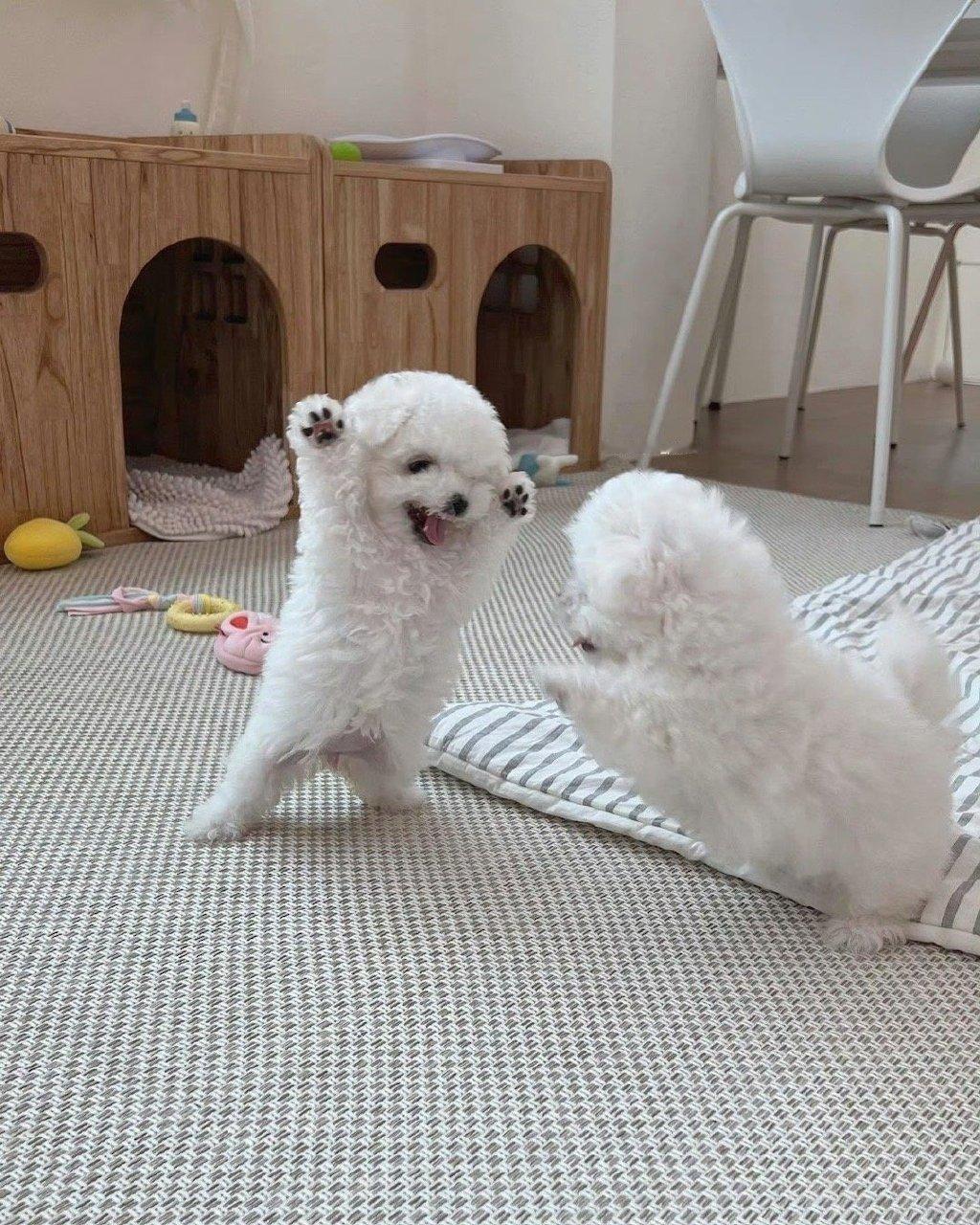 今日，有惊喜等你 