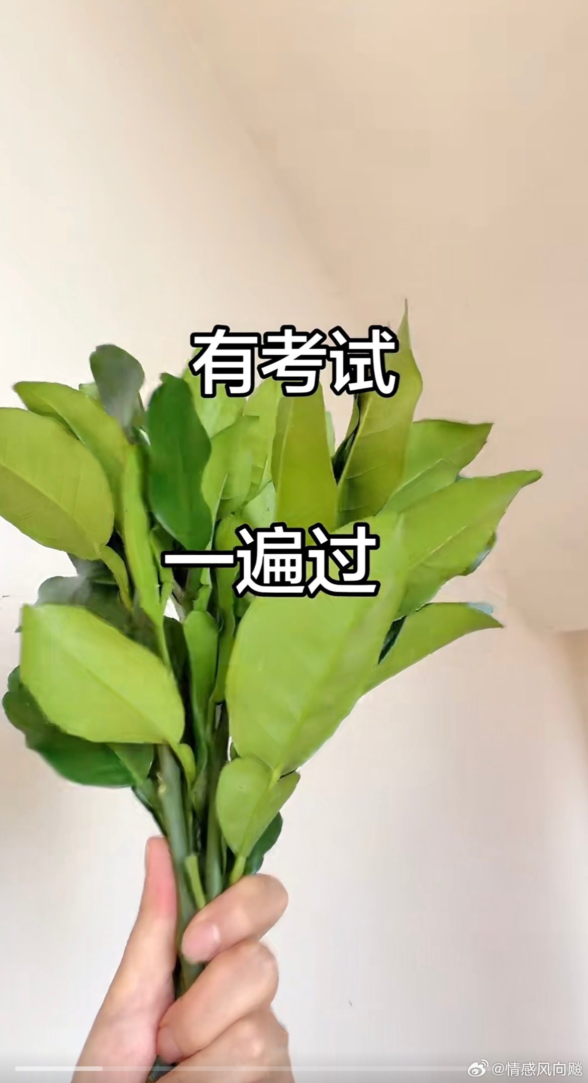 今天查成绩，一定会过的[太开心][太开心] ​​​