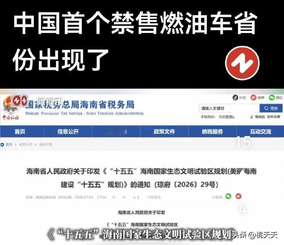 这就叫这国红利，国家政策。

海南是全国首个明确2030年全域禁售燃油车的省份，