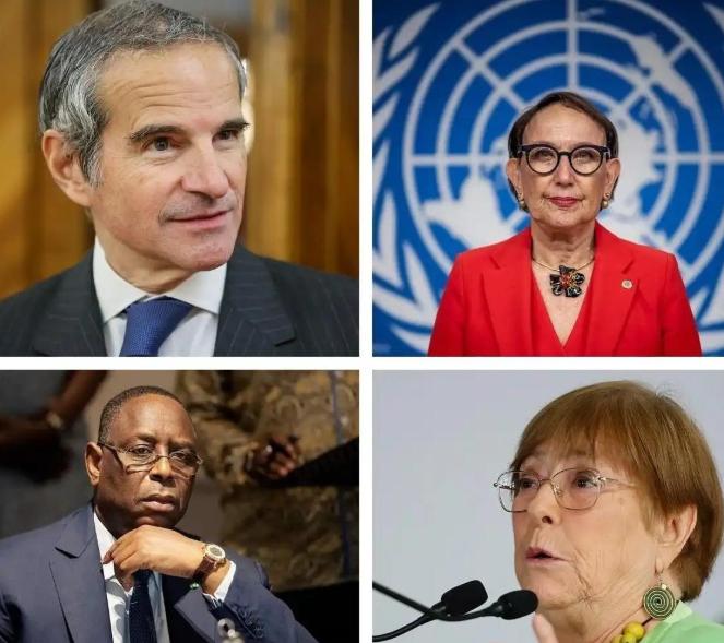 别看美英法在联合国大选上跳得欢，中俄不出手，他们谁也定不了乾坤！西方强推的代理人