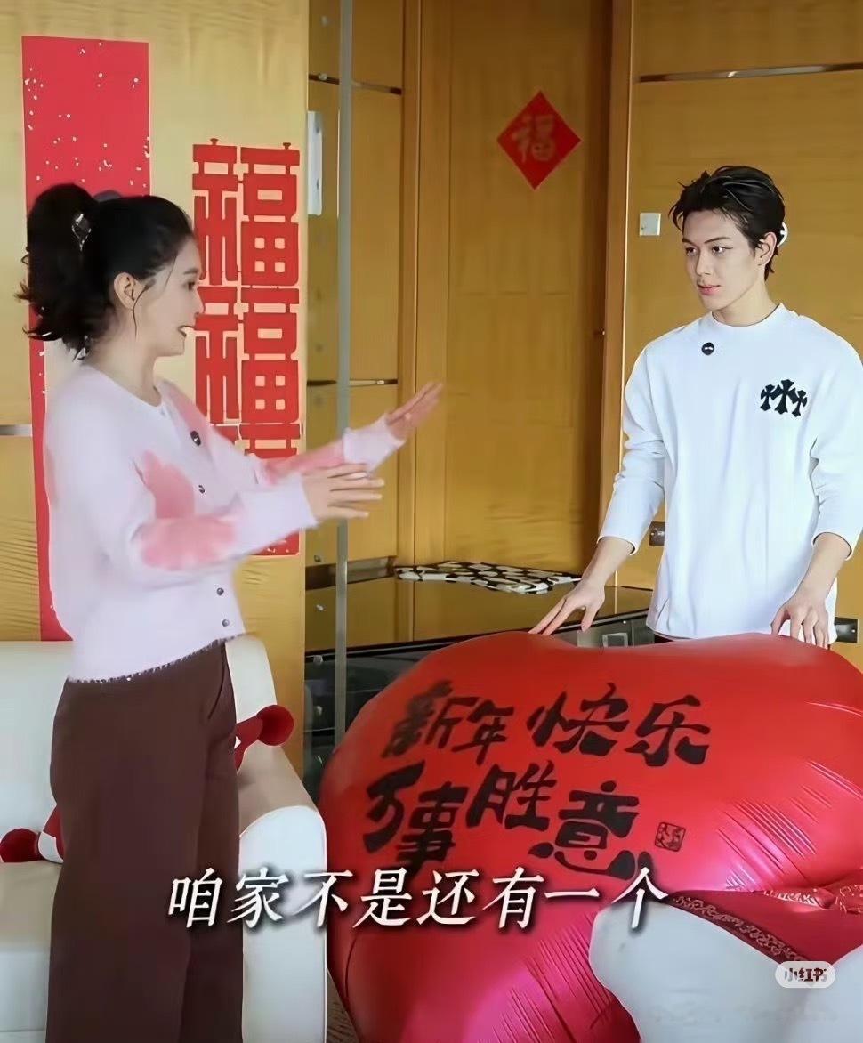 王艳儿子球球长大后竟然是帅哥啊！！！妈妈基因太强了 