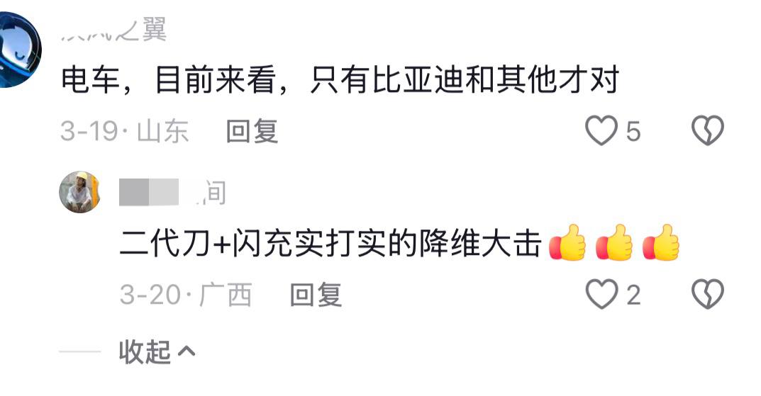 一抖友评论说: 电车，目前来看，只有比亚迪和其他才对！
你怎么看？

比亚迪核心