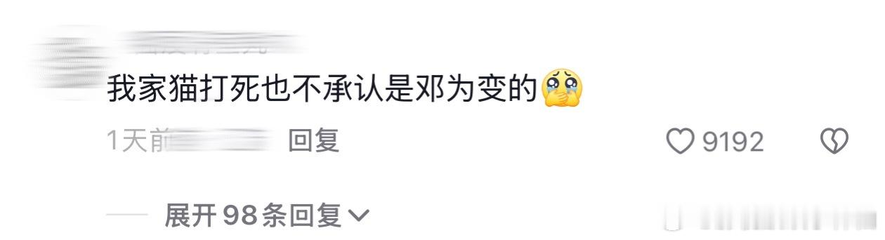 邓为新剧男狐狸爆改小猫咪  被《仙台有树》里邓为的小猫咪苏易水狠狠拿捏住了！从威