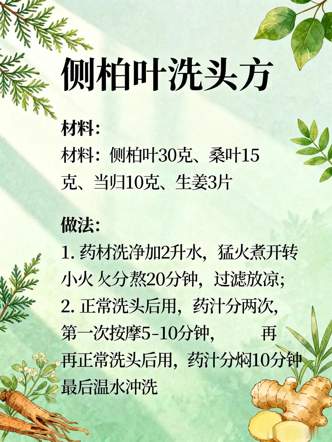 侧柏叶外洗方 + 四类掉发辨证（一气周流视角改版，承接整套圆运动体系）总纲：发为