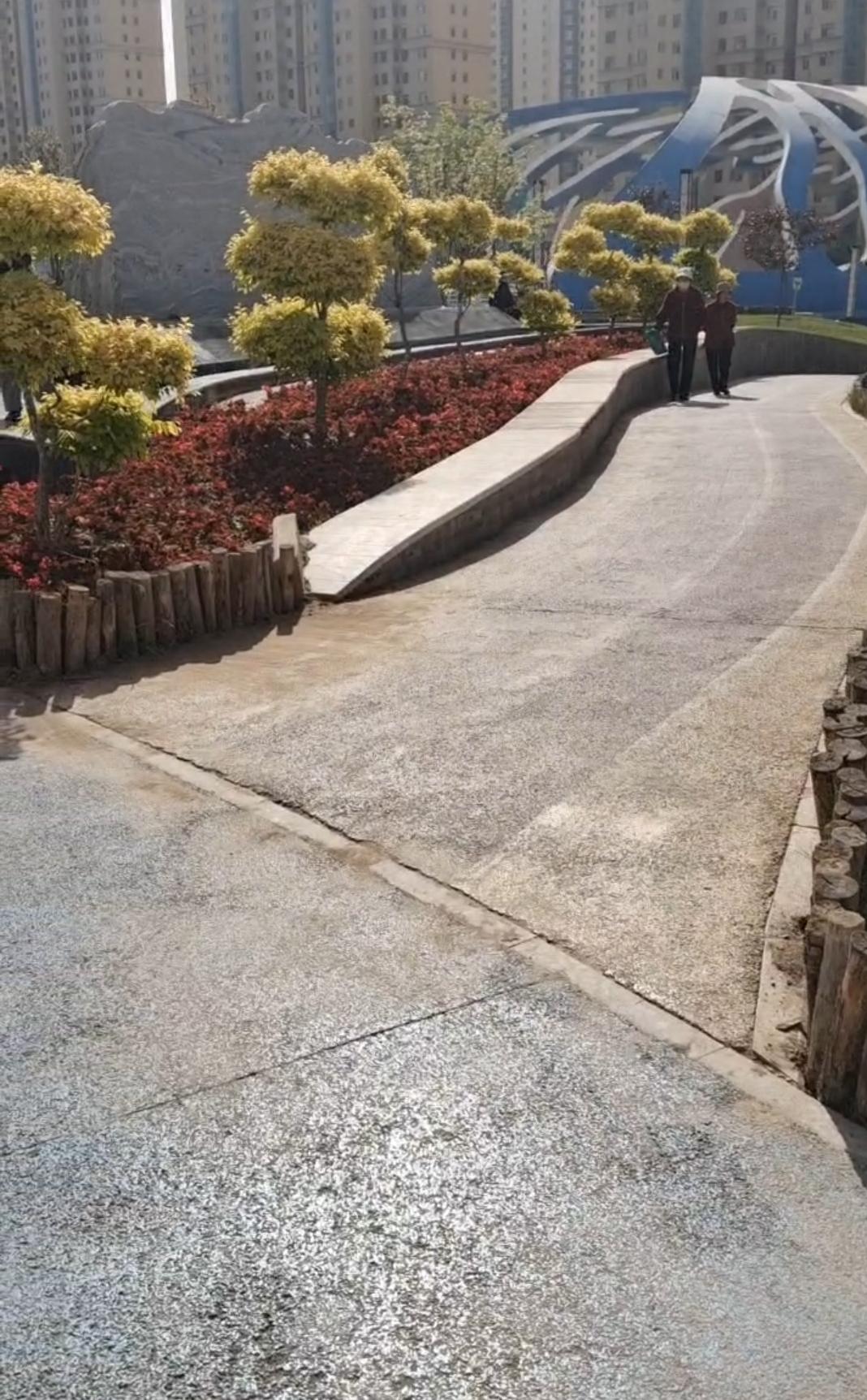 河州牡丹花开红艳艳。