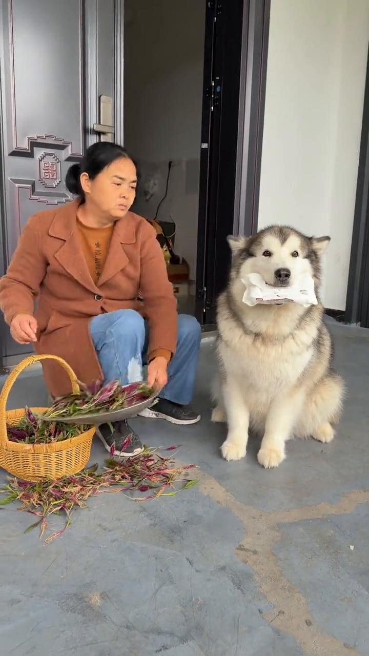 给我擦脸啦，手也擦一下，肚肚也擦一下，还有屁屁。