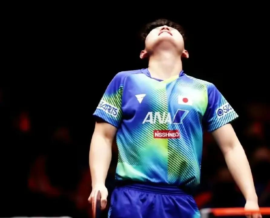 张本智和只服国乒三人

张本智和出道以来，迅速飙升，成为各国关注与研究的主要对手