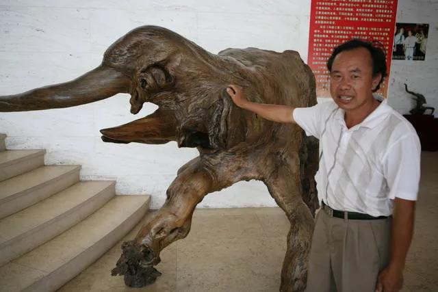徐若愚根艺