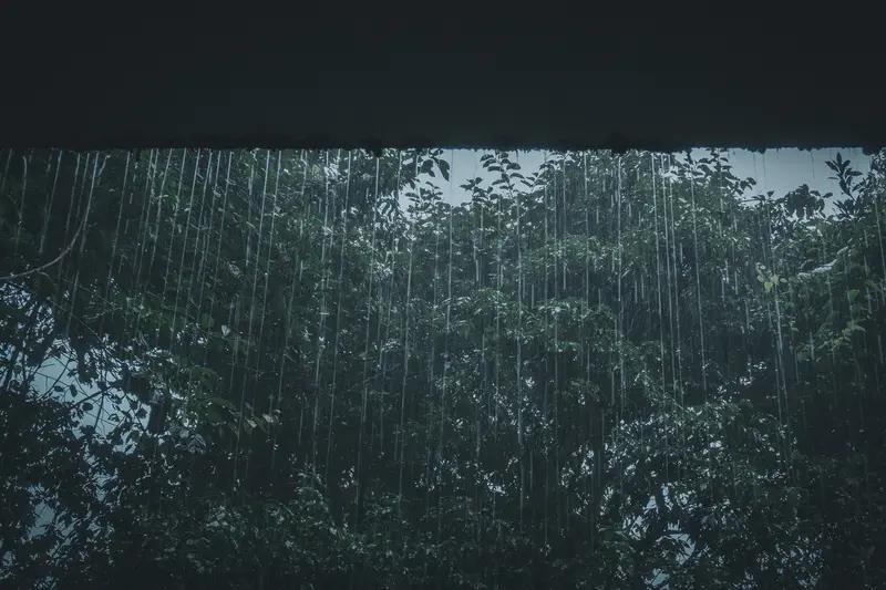 近日，长三角地区陆续进入梅雨季，梅雨的名字由来是什么？阴干的衣服为什么总有股怪味