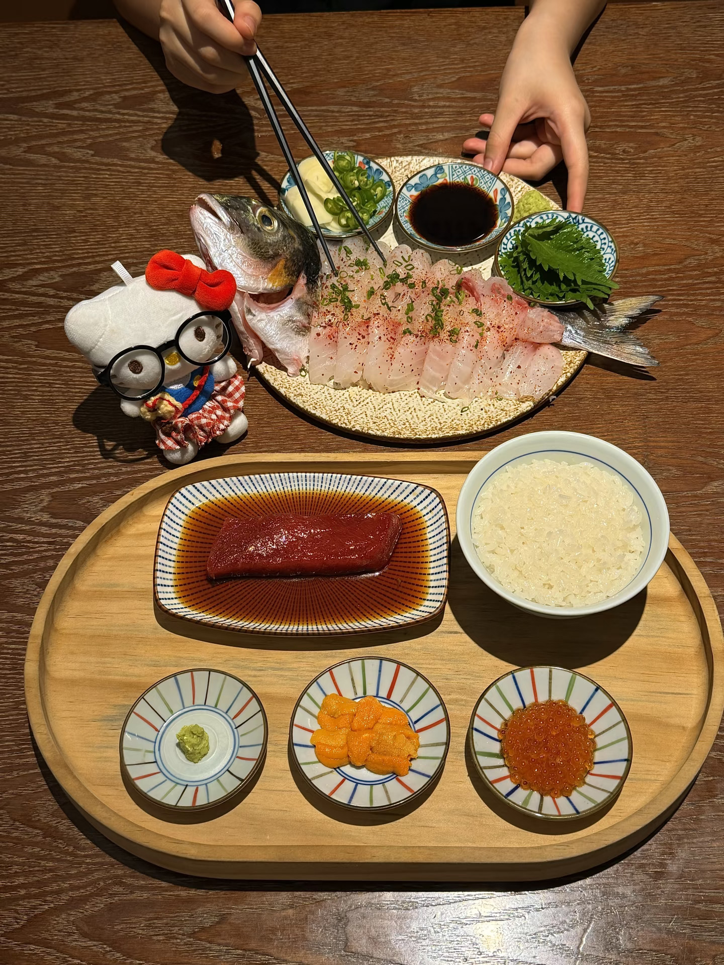 深圳首家！！一人食漂亮饭！！终于有了。。。。