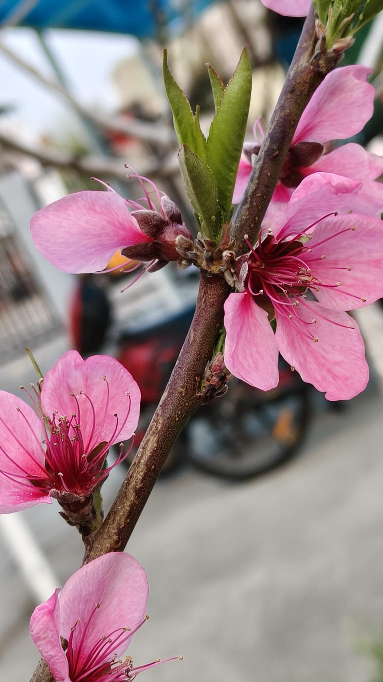 保姆休息日没有地方去，该怪谁？
其实雇主和保姆都需要有自己的空间，适当放松一下，