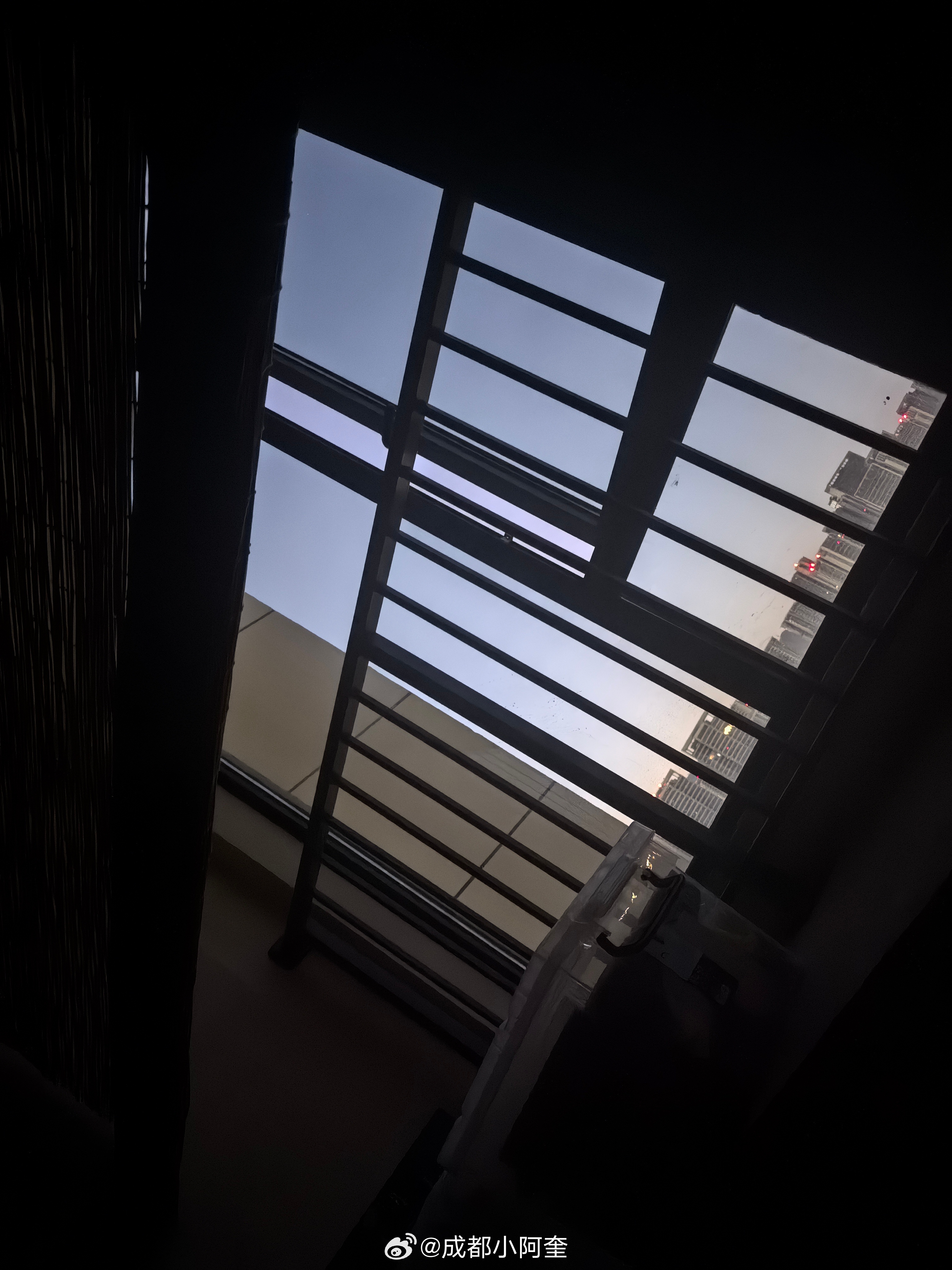 早！今天没靠闹钟就醒了，实属不易呀。夏天，就属这个时段最是凉爽了(˘ω˘)☀️ 