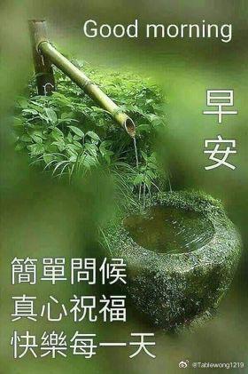 分享图片 