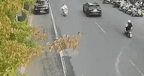 两难啊！冬季在电动车上安装挡风被，骑行的时候不安全；如果不安装挡风被，北方的天气