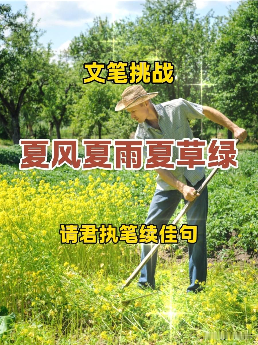 夏日清风拂面，夏雨滋润大地，田间草木一片翠绿，满是盛夏田园气息。
这副上联通俗易