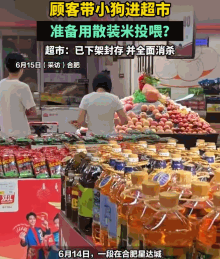 缺德到家了！合肥，一名顾客在超市将宠物狗直接放入购物车。孩子在家长默许下，竟徒手
