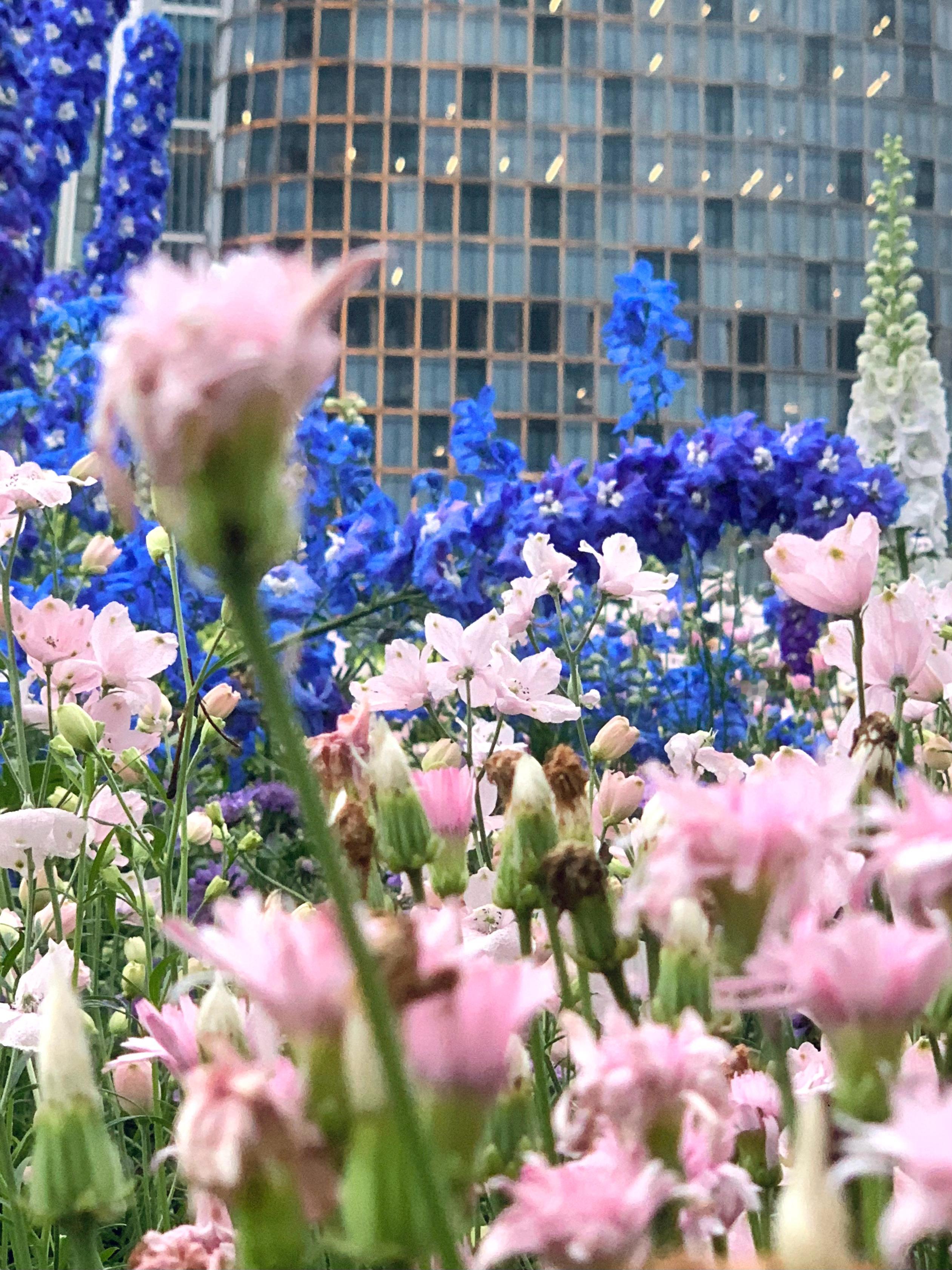 和春天撞个色喵一下ber 💁🏻♀️🐱 